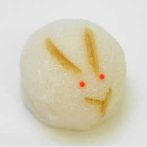 月 兎〜つきうさぎ〜