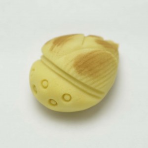 筍　～たけのこ～